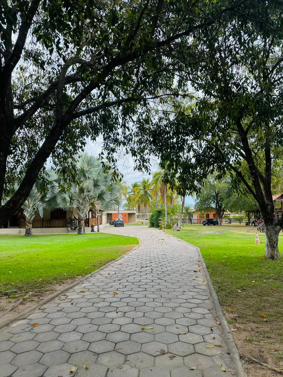 Trilha leve na fazenda