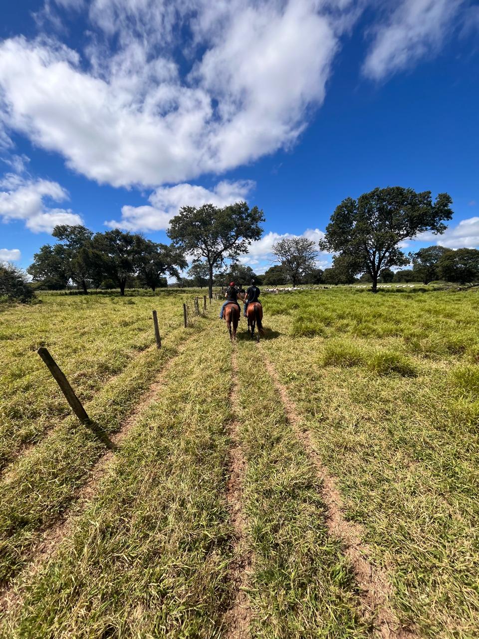 Cavalgada na fazenda